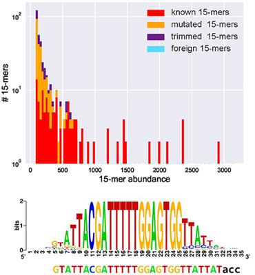 De novo Inference of Diversity Genes and Analysis of Non-canonical V(DD)J Recombination in Immunoglobulins